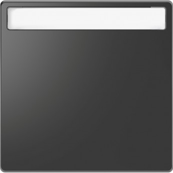 Клавиша одинарная MERTEN D-LIFE с полем для надписи, АНТРАЦИТ