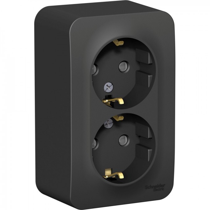 Розетка двойная SCHNEIDER ELECTRIC BLANCA с заземлением, со шторками, 16А, 250В, антрацит BLNRA011206
