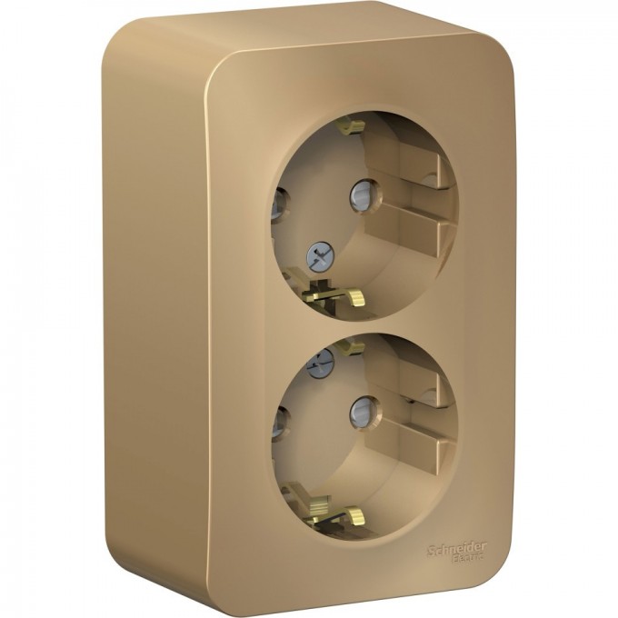 Розетка двойная SCHNEIDER ELECTRIC BLANCA с заземлением, со шторками, 16А, 250В, титан BLNRA011204