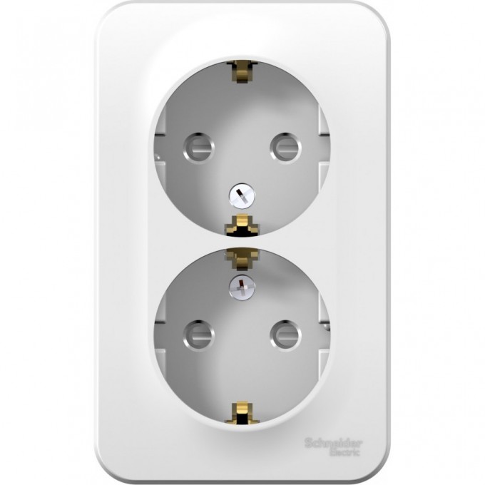 Розетка двойная SCHNEIDER ELECTRIC BLANCA с заземлением, со шторками, с изолирующей пластиной, 16А, 250В, белый BLNRA011211