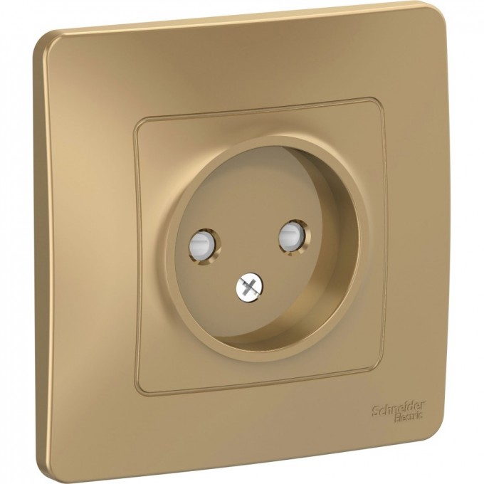 Розетка одинарная SCHNEIDER ELECTRIC BLANCA без заземления, со шторками, 16А, 250В, ТИТАН BLNRS000114