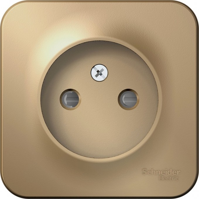 Розетка SCHNEIDER ELECTRIC BLANCA без заземления, со шторкой, с изолирующей пластиной, 16А, 250В, титан BLNRA001114