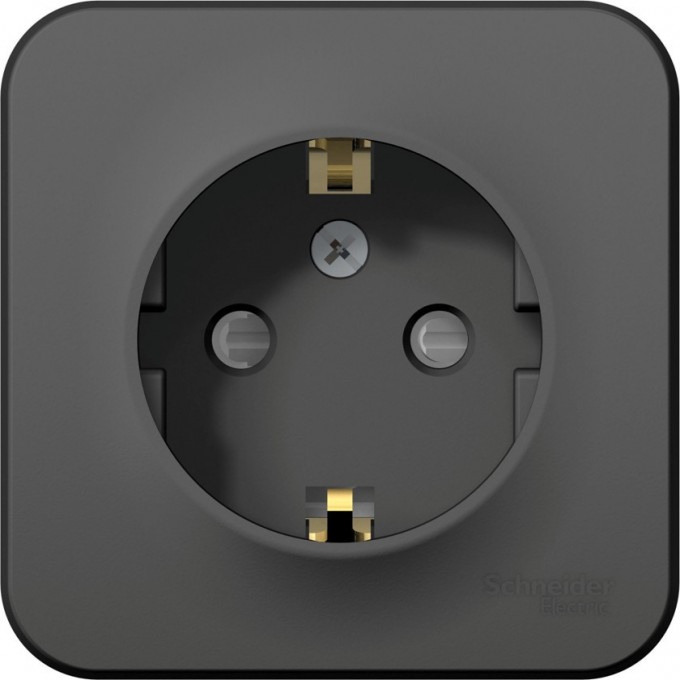 Розетка SCHNEIDER ELECTRIC BLANCA с заземлением, со шторками, 16А, 250В, антрацит BLNRA011106