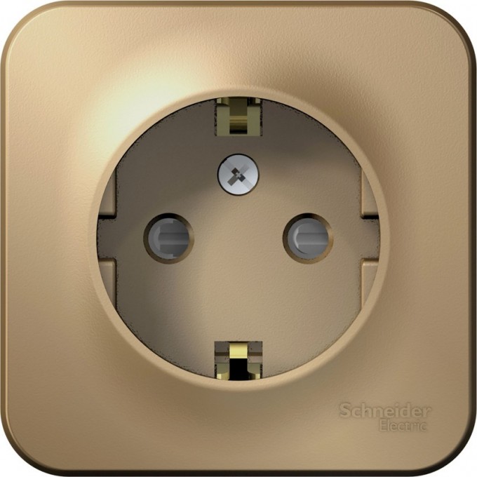 Розетка SCHNEIDER ELECTRIC BLANCA с заземлением, со шторками, 16А, 250В, титан BLNRA011104