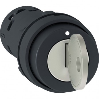 Переключатель SCHNEIDER ELECTRIC HARMONY XB7, 22мм, 2 позиции с ключем 1НО